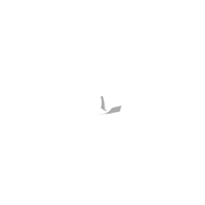 Garrido Licona